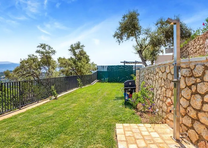 Ecstasy Luxury Villa Apolpaina