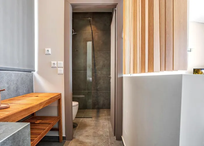 Ecstasy Luxury Villa Apolpaina